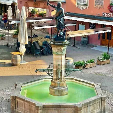 Suite Schwendi - L'Authentique - En Hypercentre Colmar Exterior photo