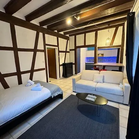 Suite Schwendi - L'Authentique - En Hypercentre Colmar Exterior photo